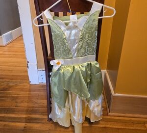 Disney Princess Tiana Dress!